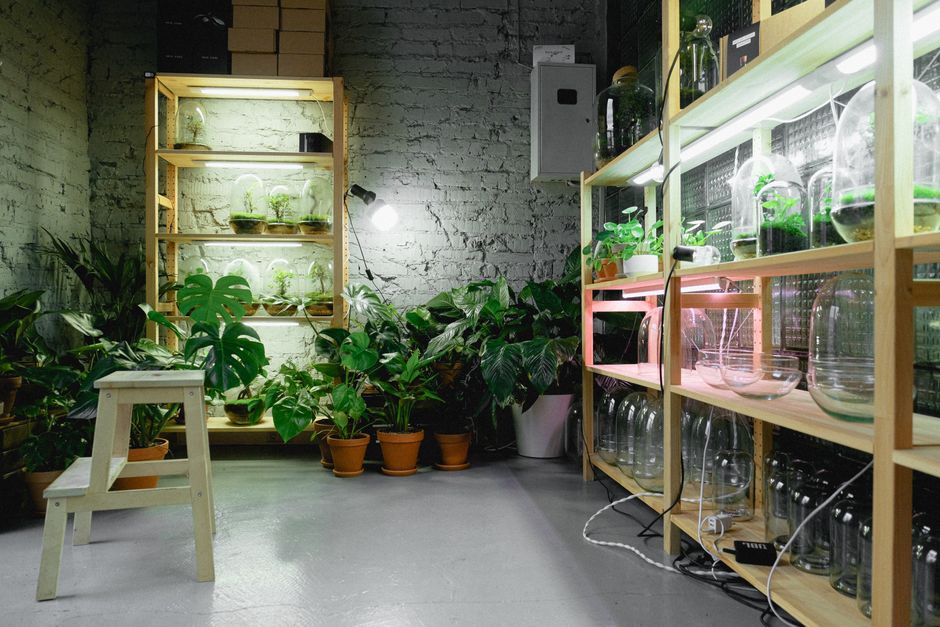 Grow Light Spectrum Explained Simply