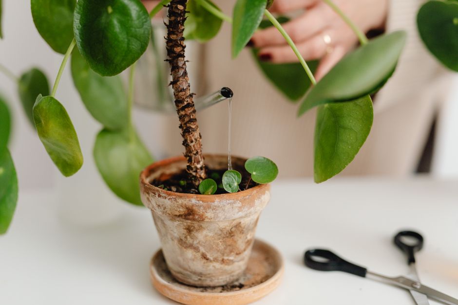 Solar drip irrigation lines watering balcony planters